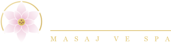 Manolya Spa logo